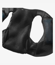 Load image into Gallery viewer, Salomon Active Skin 8 Vest
