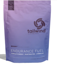Load image into Gallery viewer, Tailwind Endurance Fuel 50 serving bag