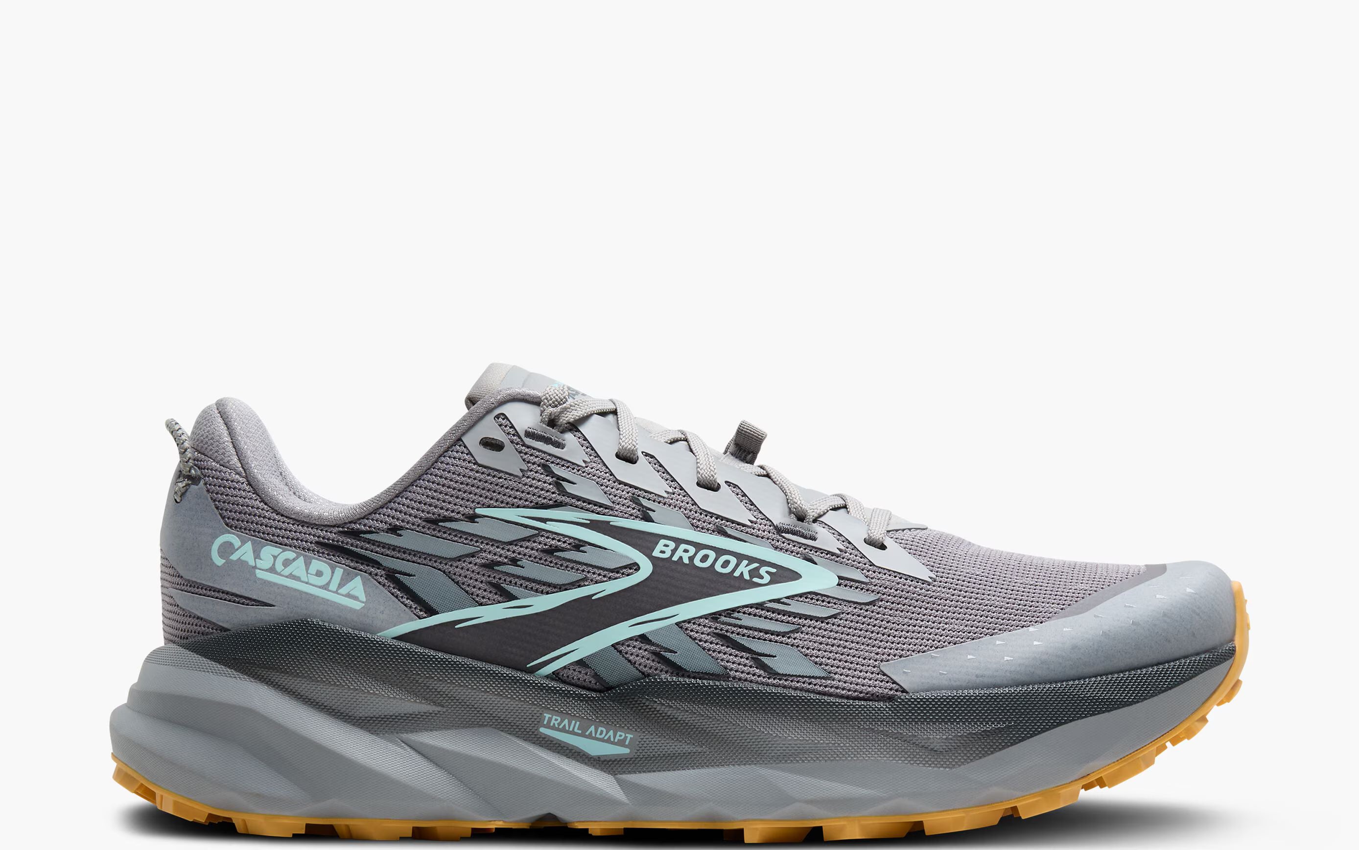 Men's Brooks Cascadia 19