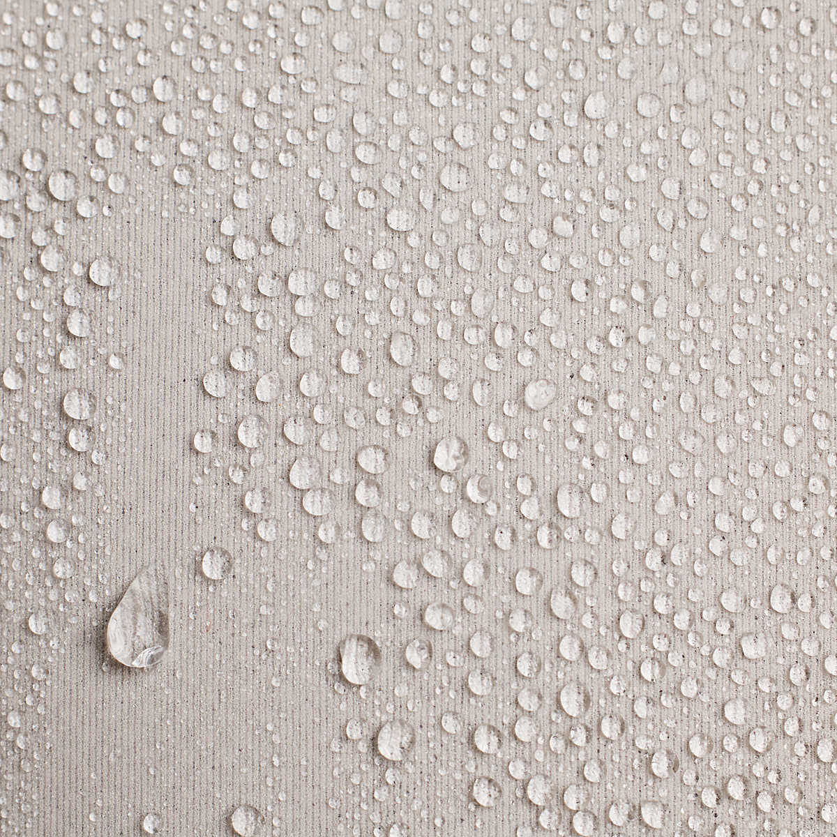 Women's Saucony Runshield Jacket