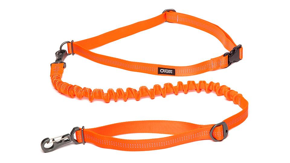 Stunt Puppy Stunt Runner Dog Leashes